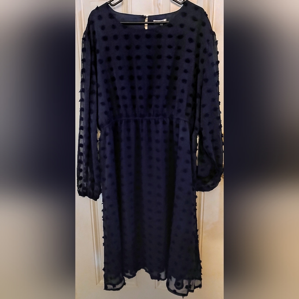 New w/ Tags, In'Voland Plus Size Swiss Dot Long Sleeve Chiffon Dress